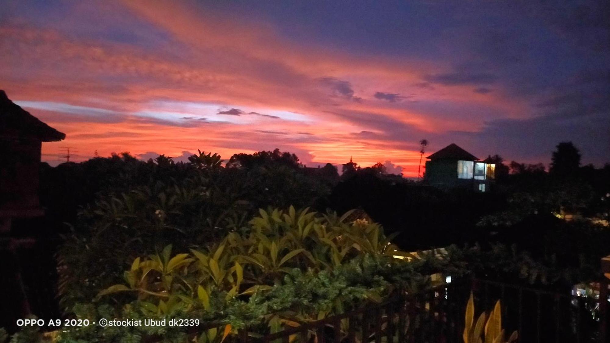 Danu House Ubud Kültér fotó