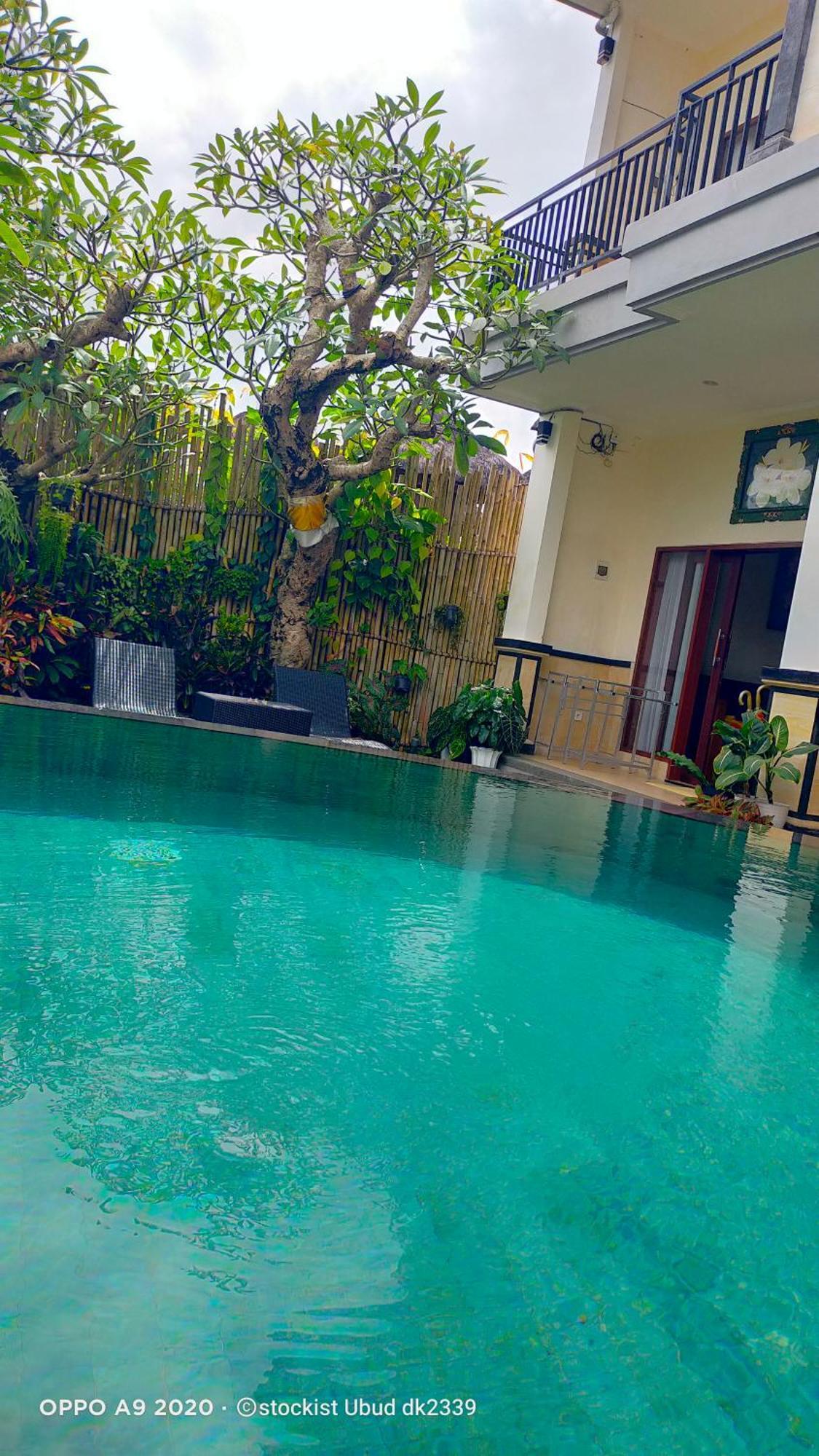 Danu House Ubud Kültér fotó