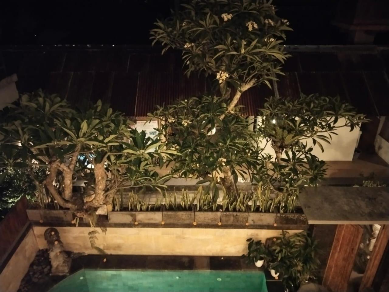 Danu House Ubud Szoba fotó